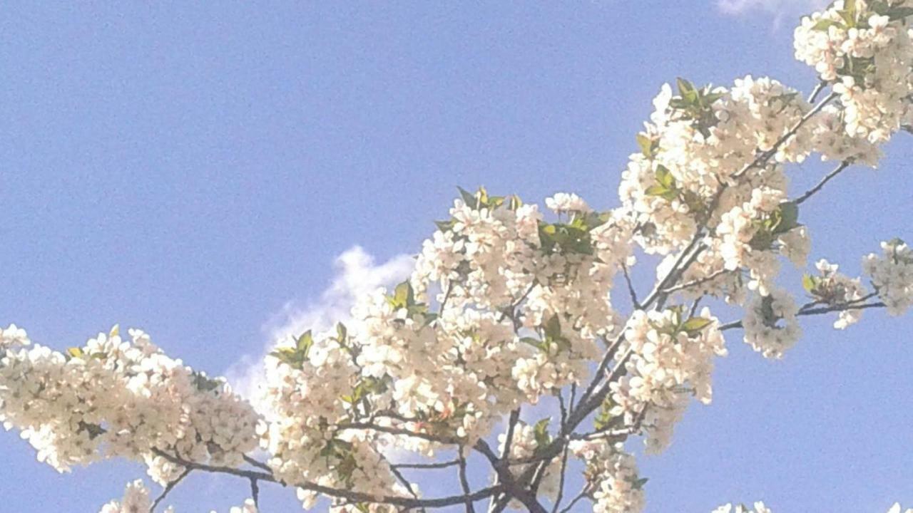 Karvansaray Lahic Esterno foto